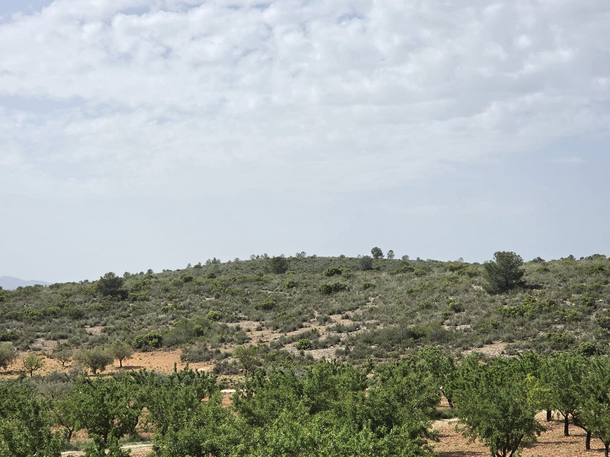 3 Bed Detached Villa in Pinoso