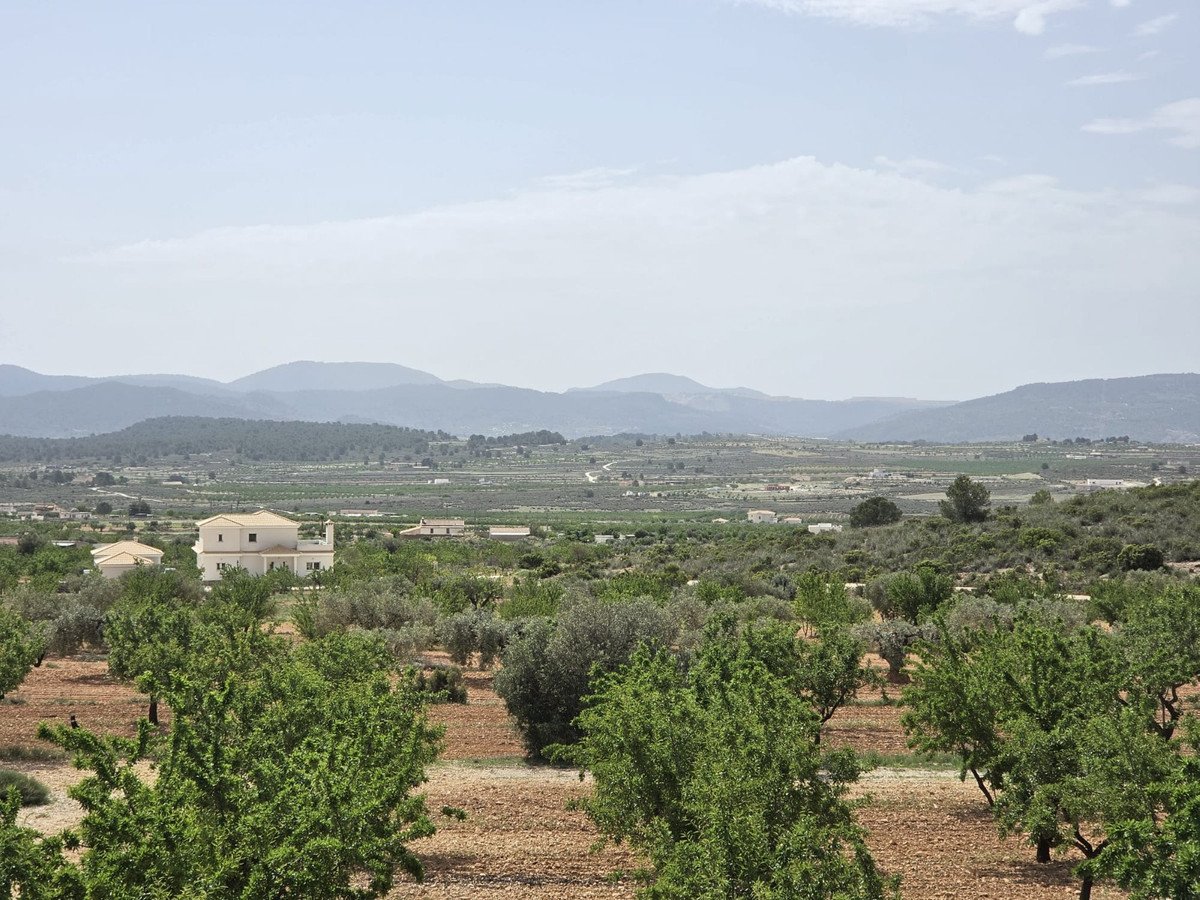 3 Bed Detached Villa in Pinoso