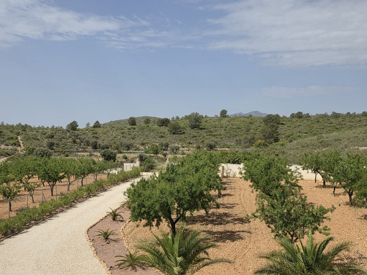 3 Bed Detached Villa in Pinoso