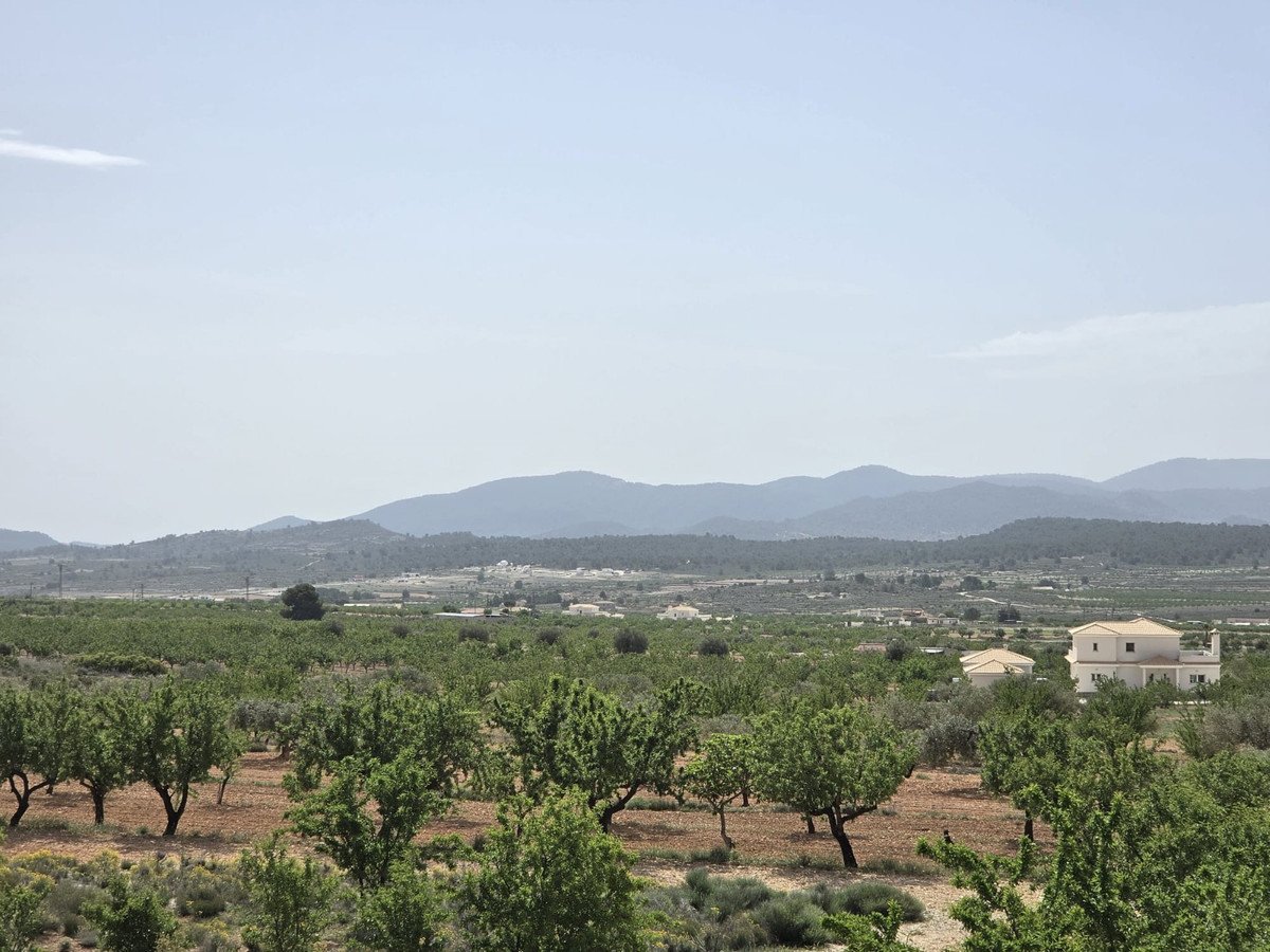 3 Bed Detached Villa in Pinoso