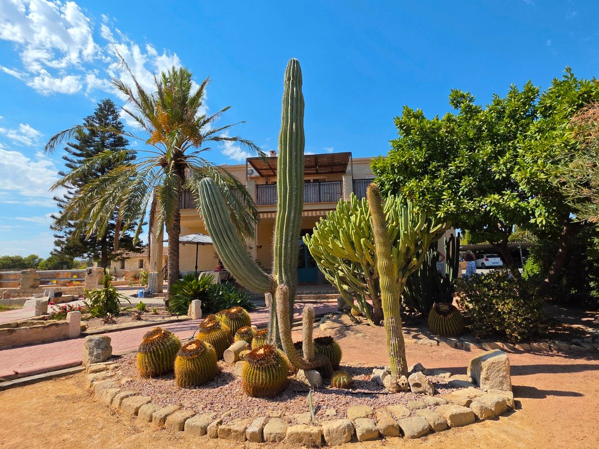 6 Bed Finca - Cortijo in Elche
