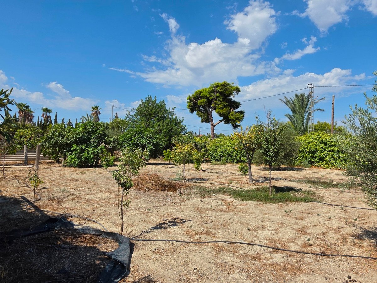 6 Bed Finca - Cortijo in Elche