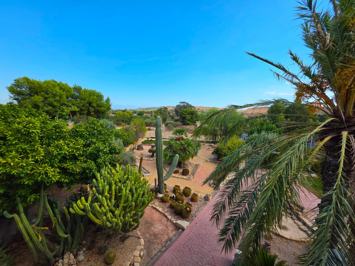 6 Bed Finca - Cortijo in Elche