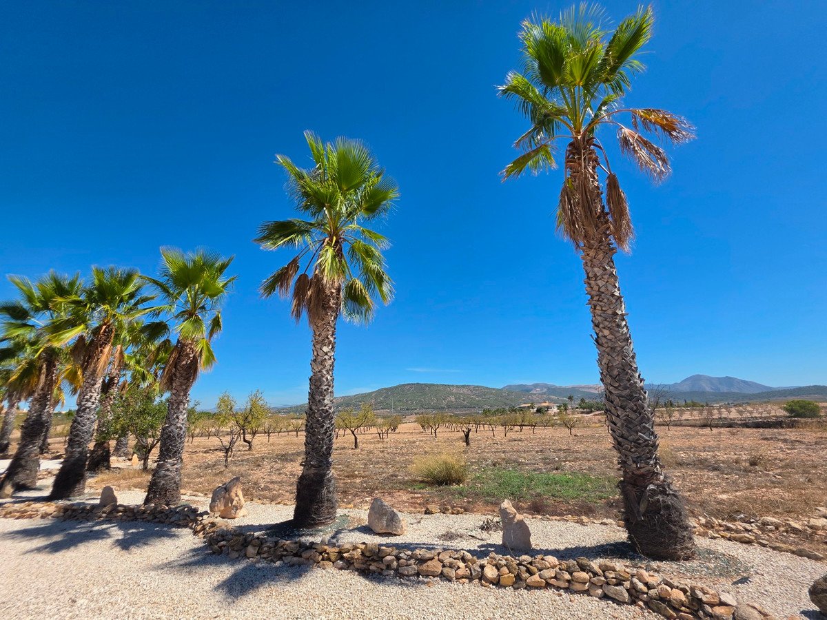 4 Bed Detached Villa in Pinoso