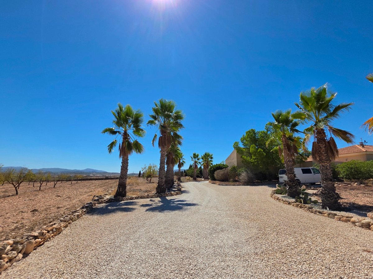 4 Bed Detached Villa in Pinoso
