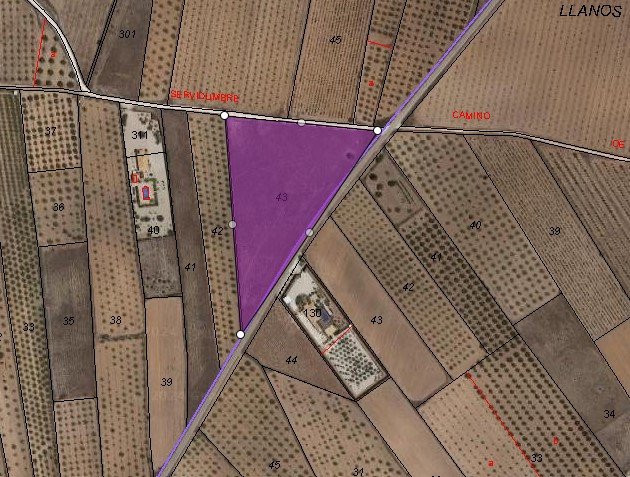 Land in Yecla