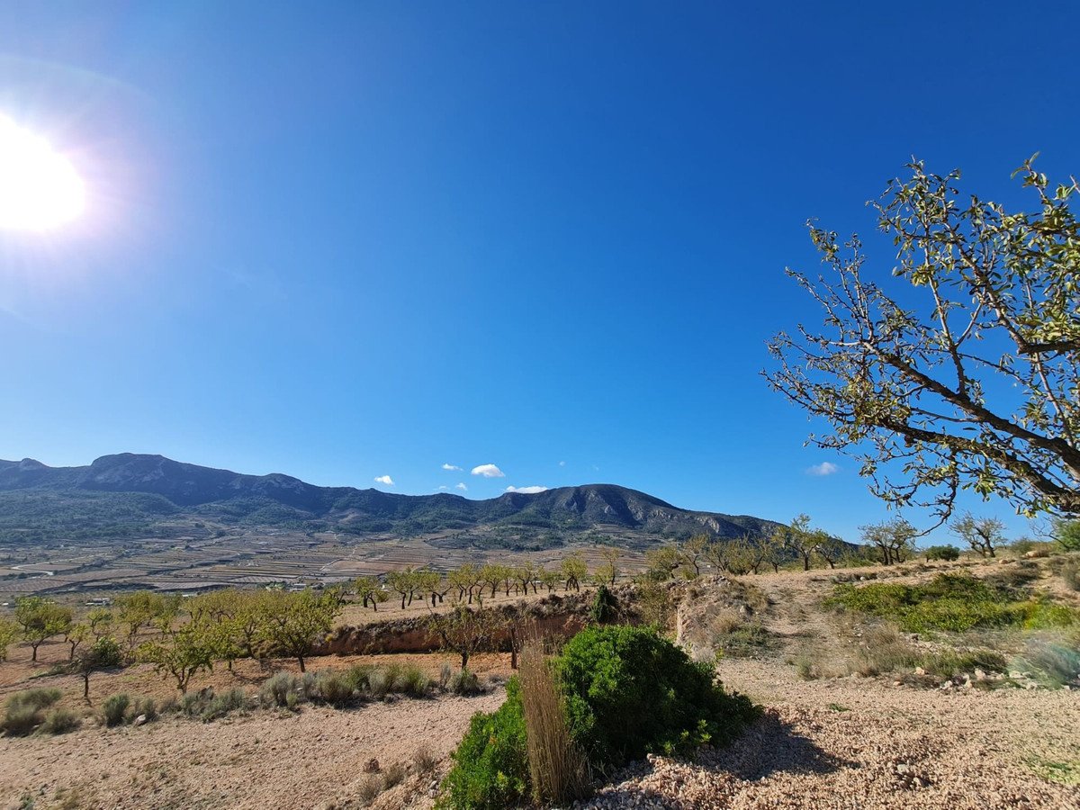 Land in La Romana