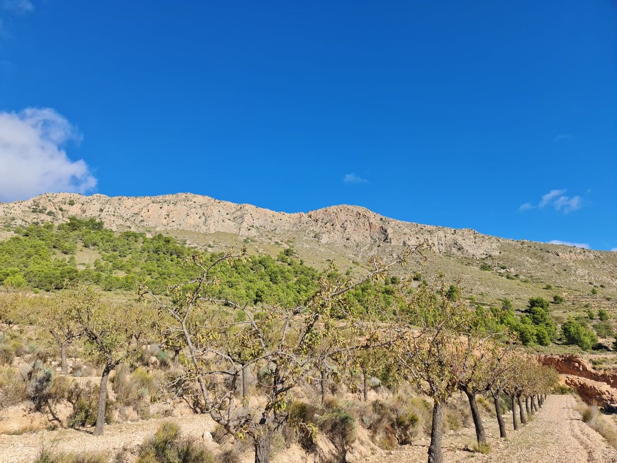 Land in La Romana