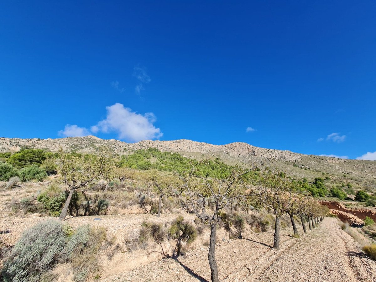 Land in La Romana