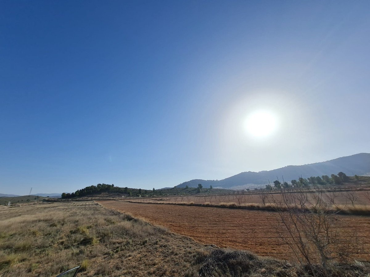 Land in Jumilla