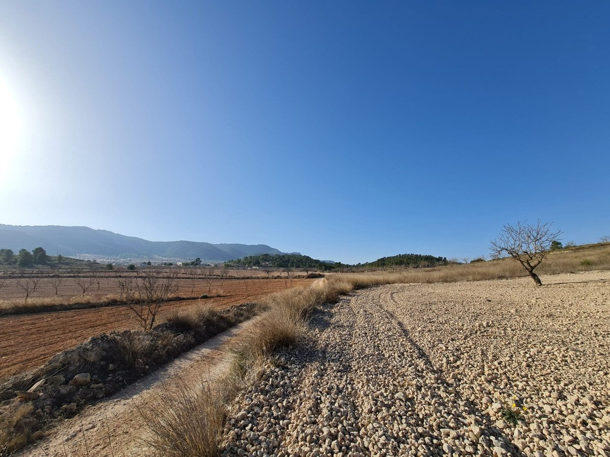 Land in Jumilla