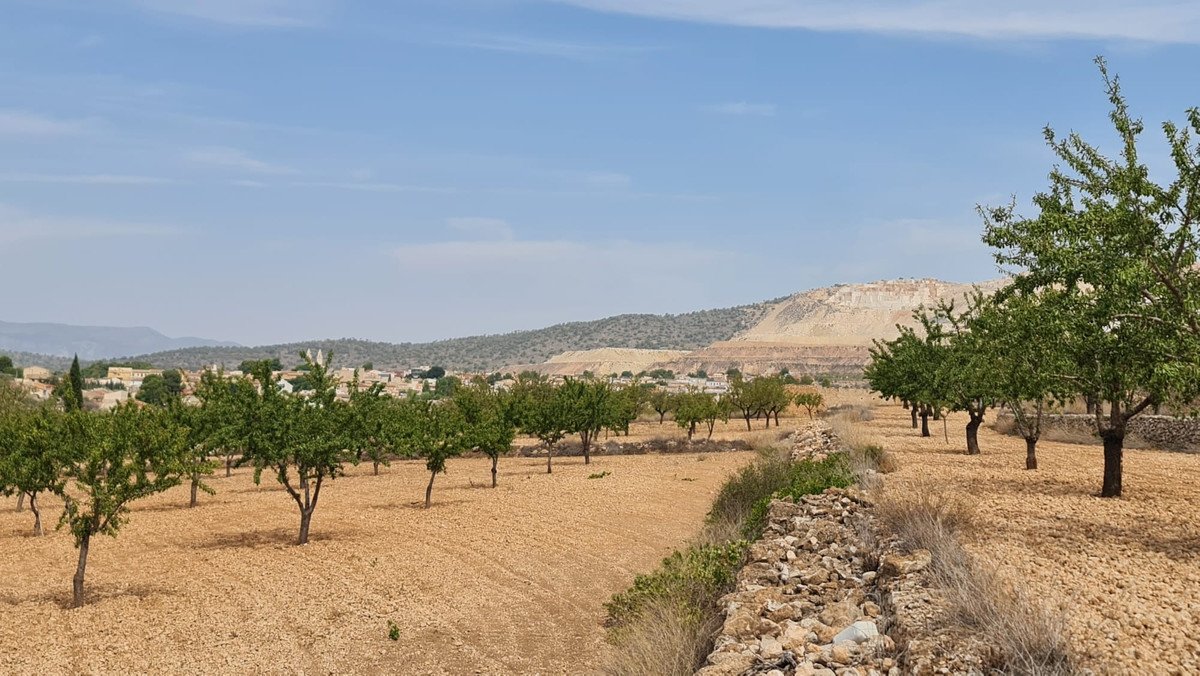 Land in Algueña