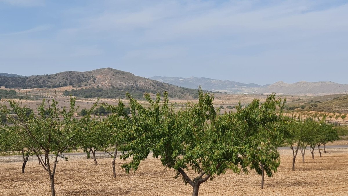 Land in Algueña