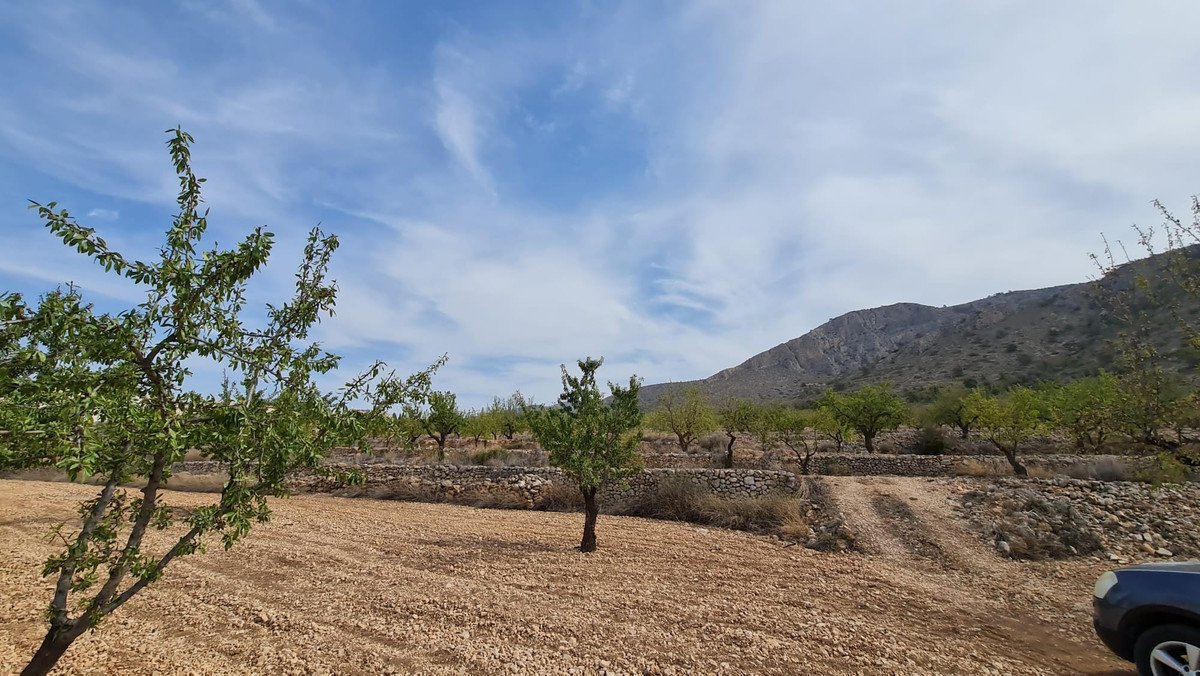 Land in Algueña