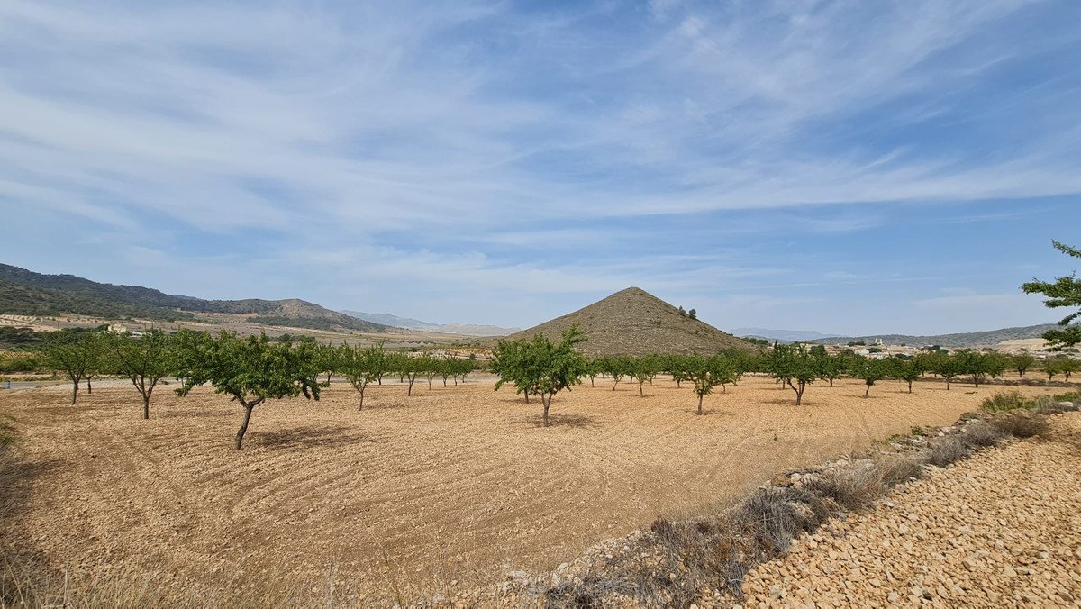 Land in Algueña