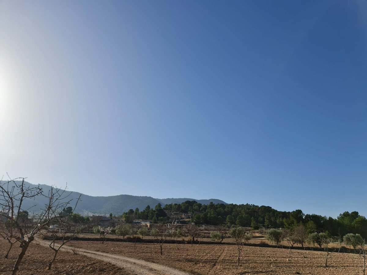 Land in Jumilla