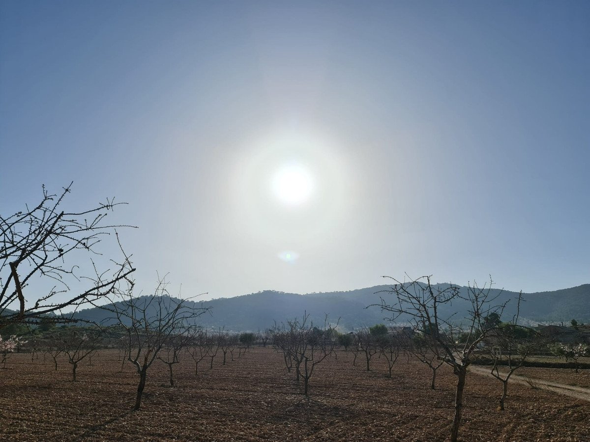 Land in Jumilla