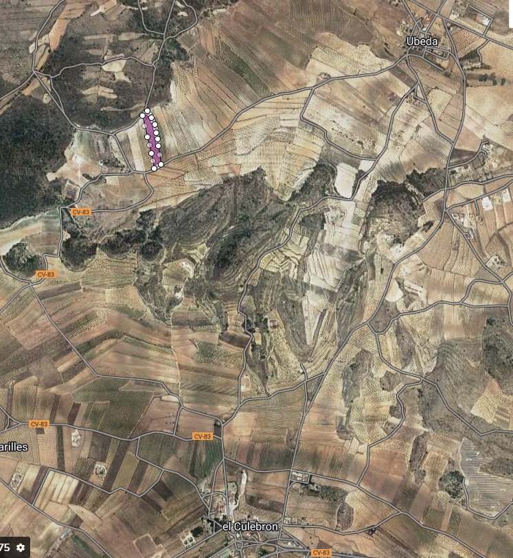 Land in Pinoso