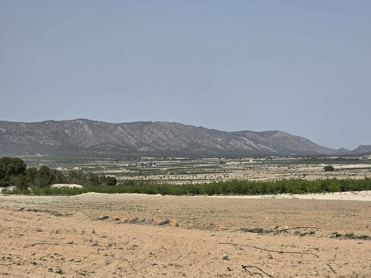 Land in Pinoso
