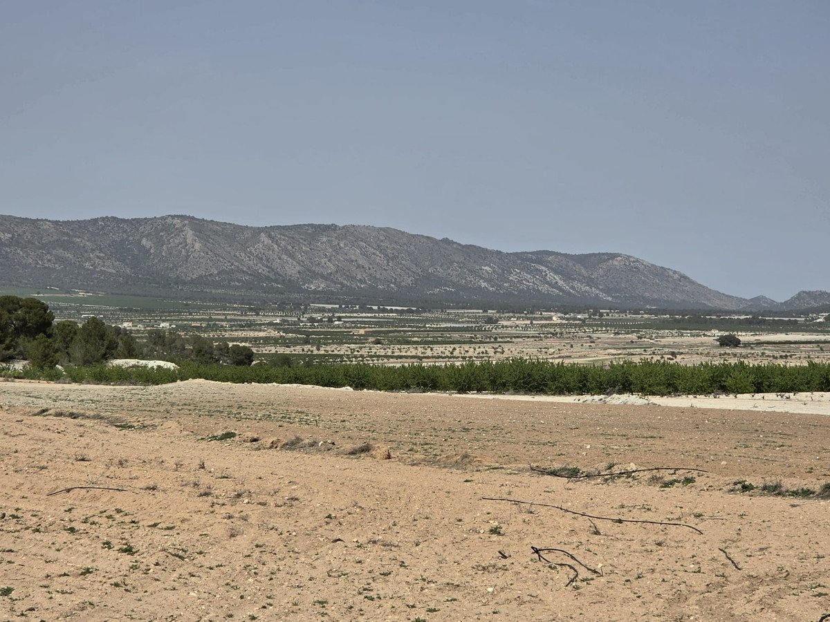 Land in Pinoso