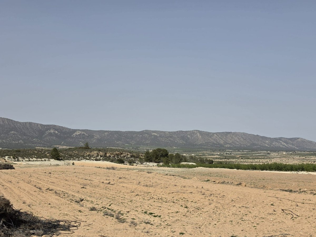 Land in Pinoso