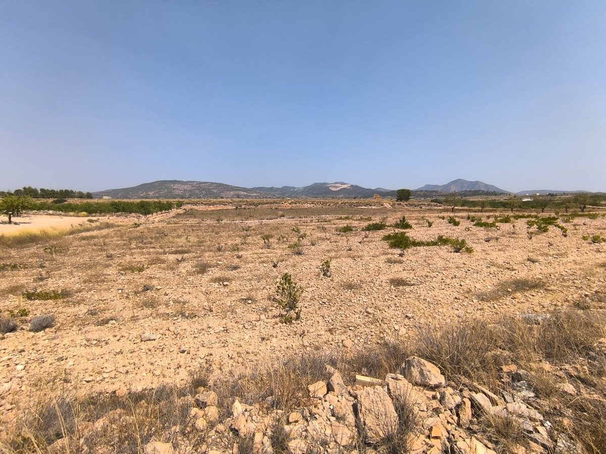 Land in Pinoso