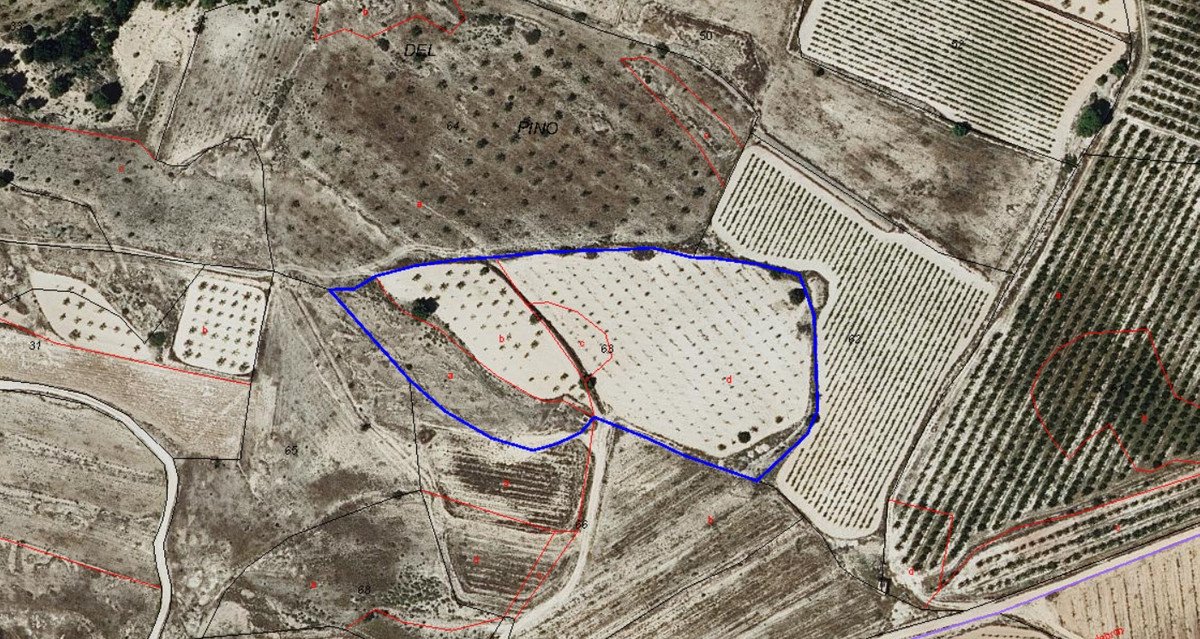 Land in Monóvar