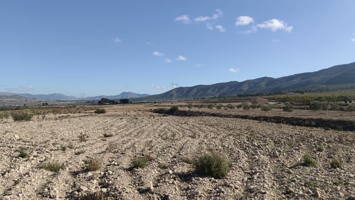 Land in Salinas