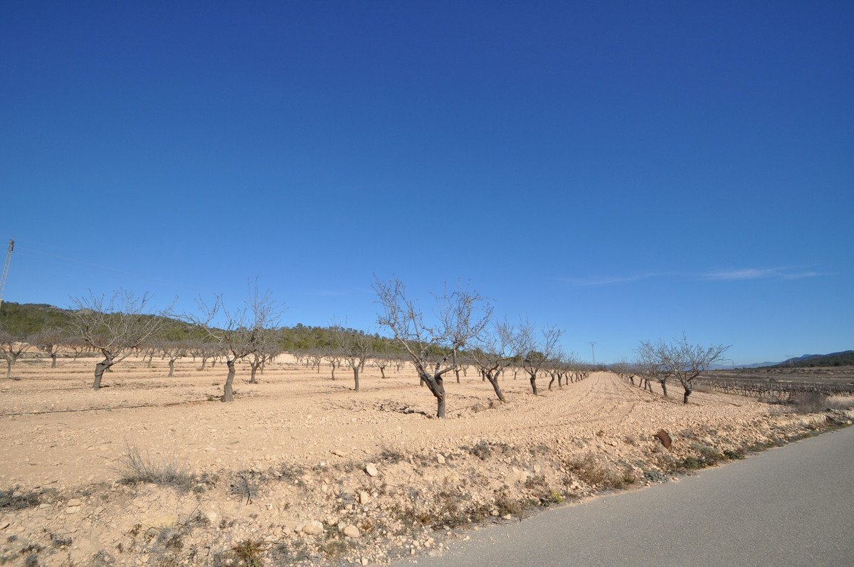 Land in Monóvar