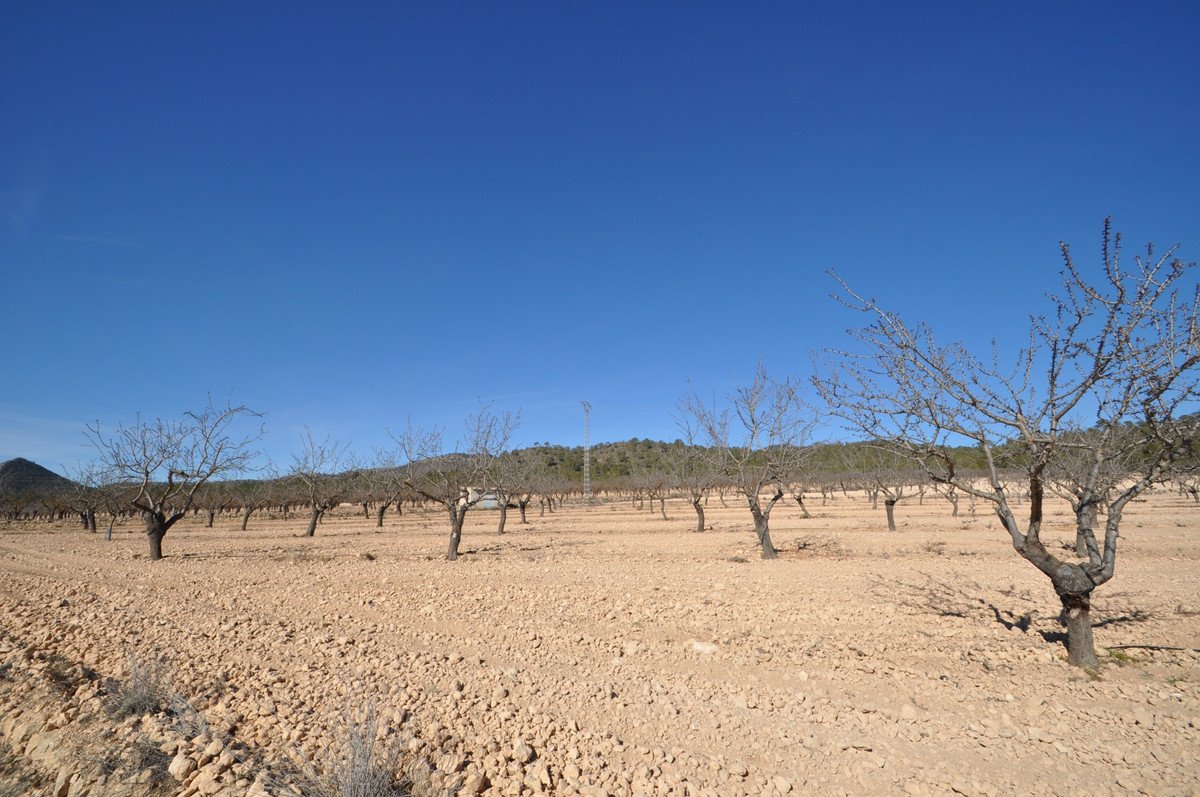 Land in Monóvar