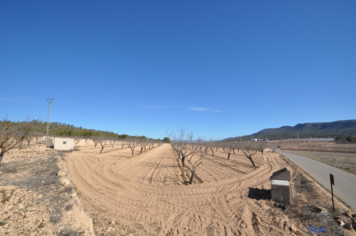 Land in Monóvar