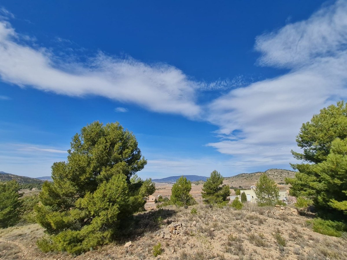 Land in Pinoso