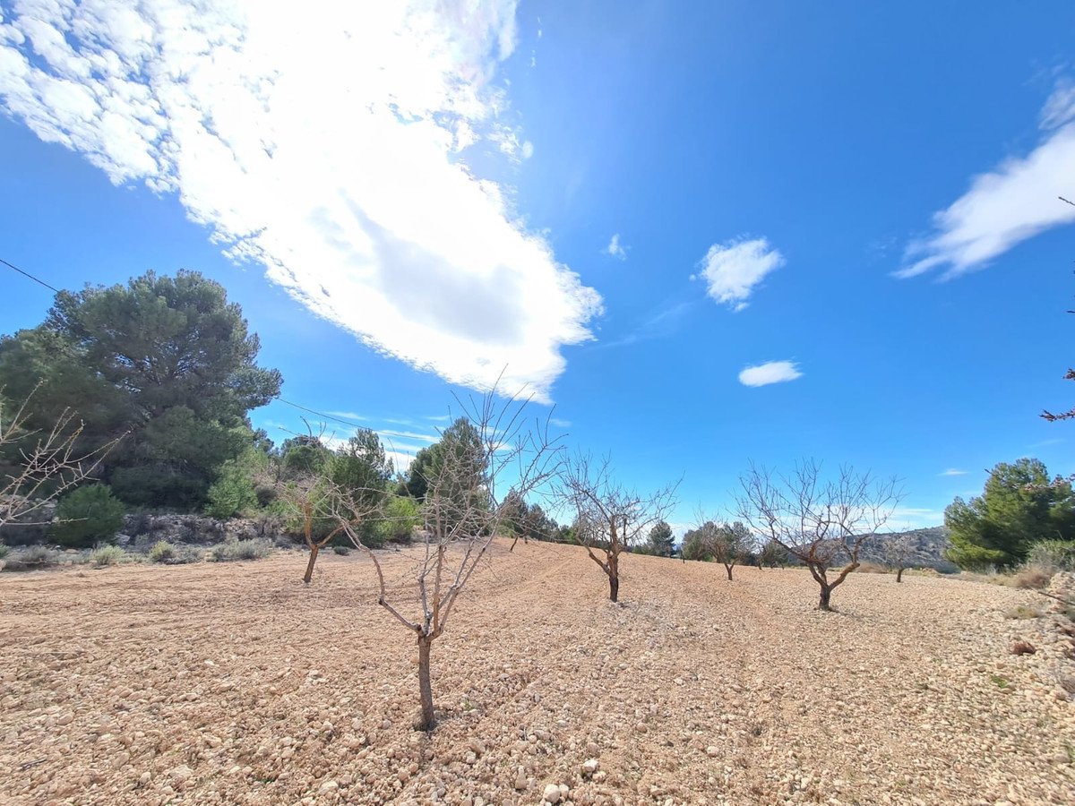 Land in Pinoso