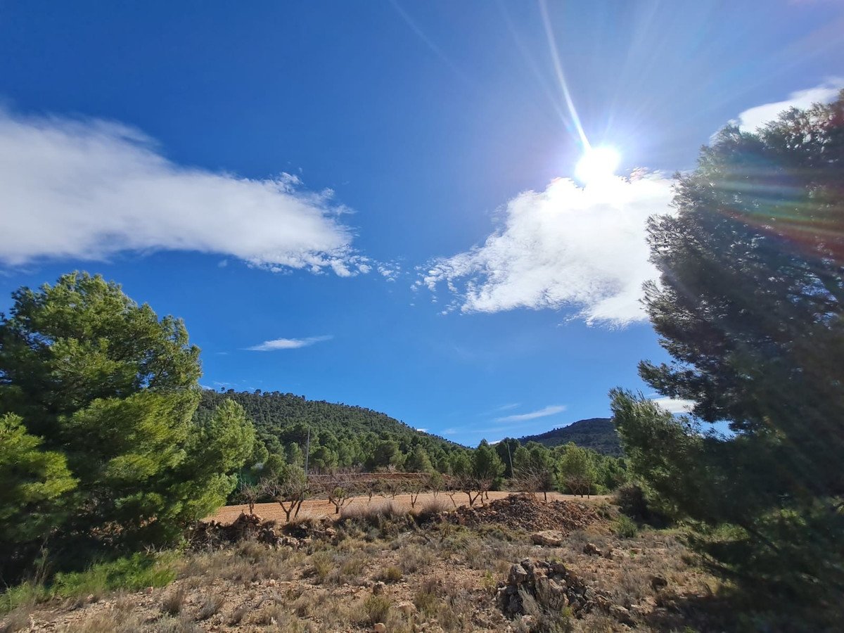Land in Pinoso