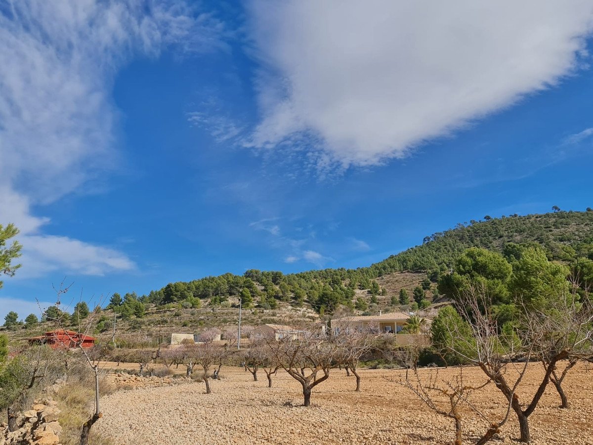 Land in Pinoso