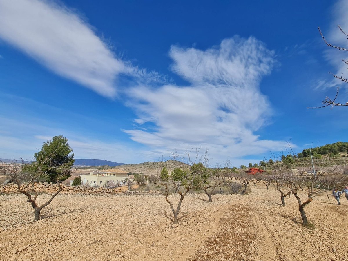 Land in Pinoso