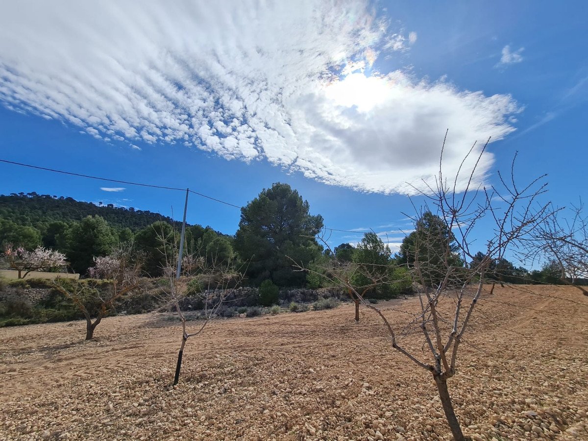 Land in Pinoso