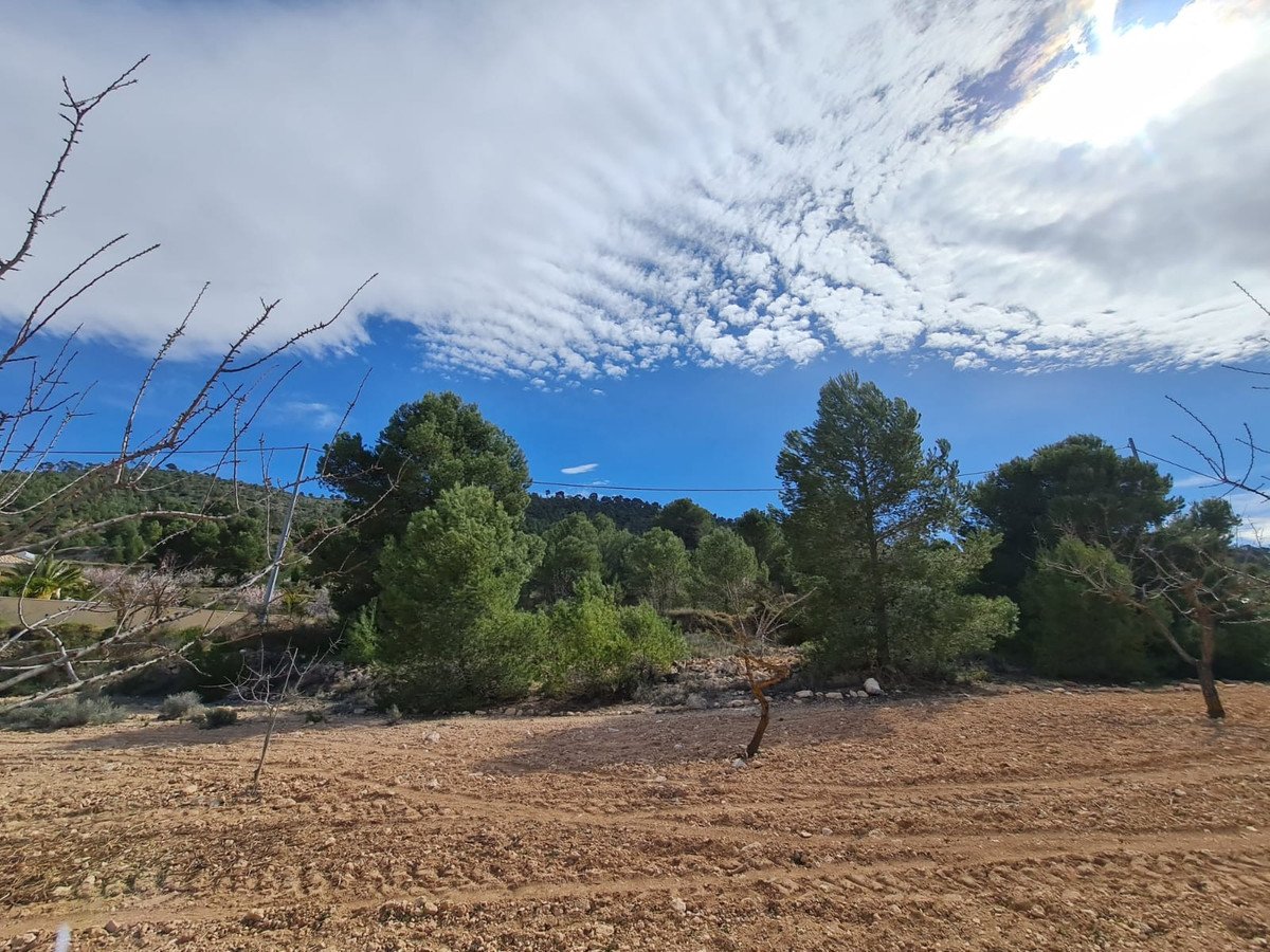 Land in Pinoso