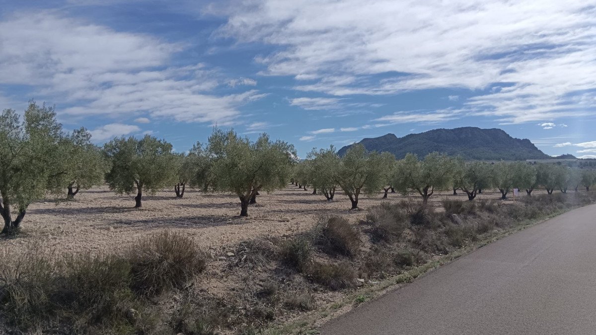 Land in Salinas