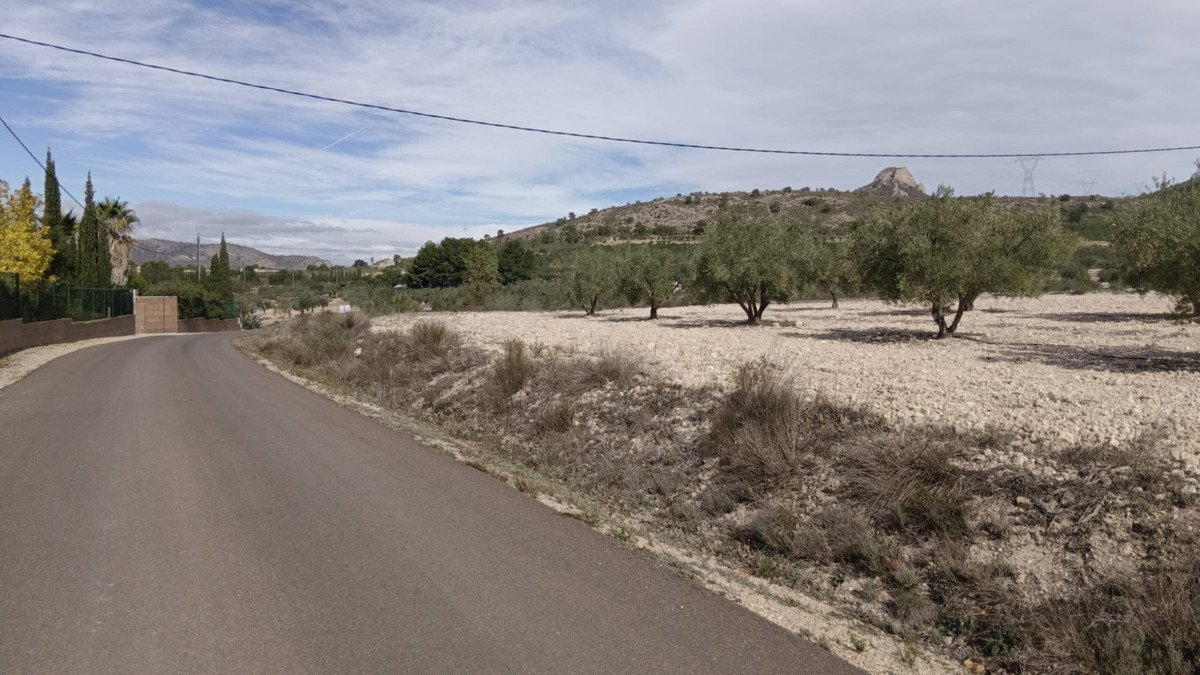Land in Salinas