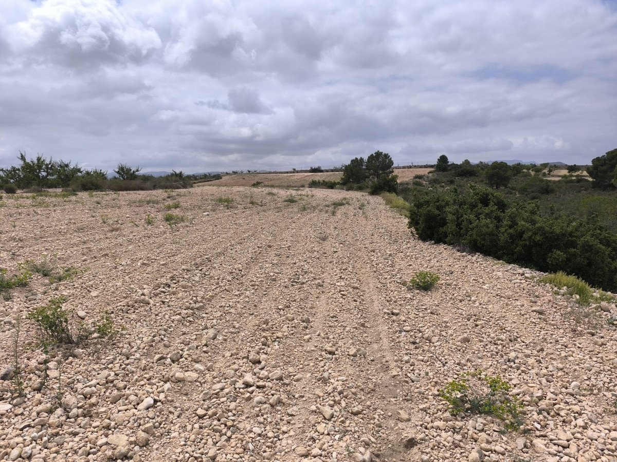 Land in Pinoso