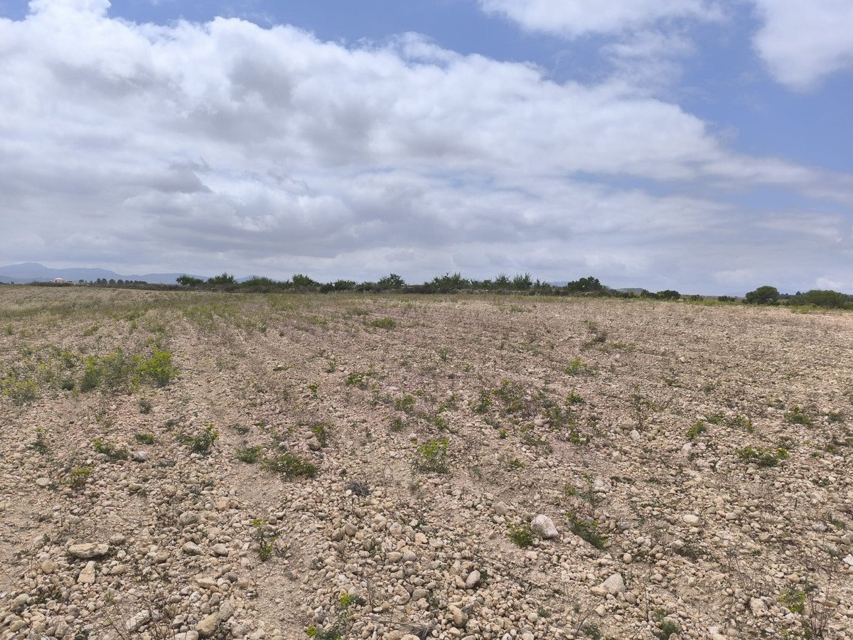 Land in Pinoso