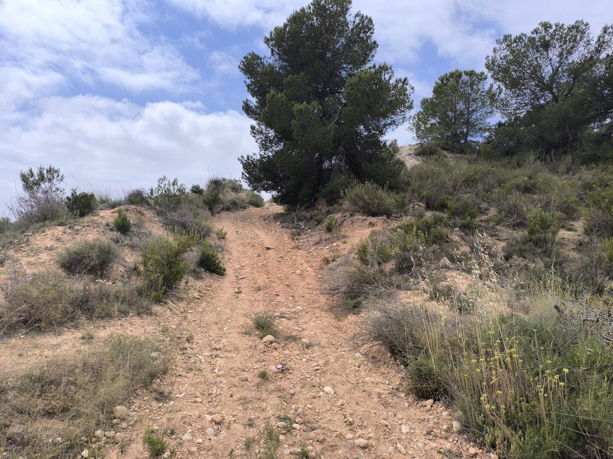 Land in Pinoso