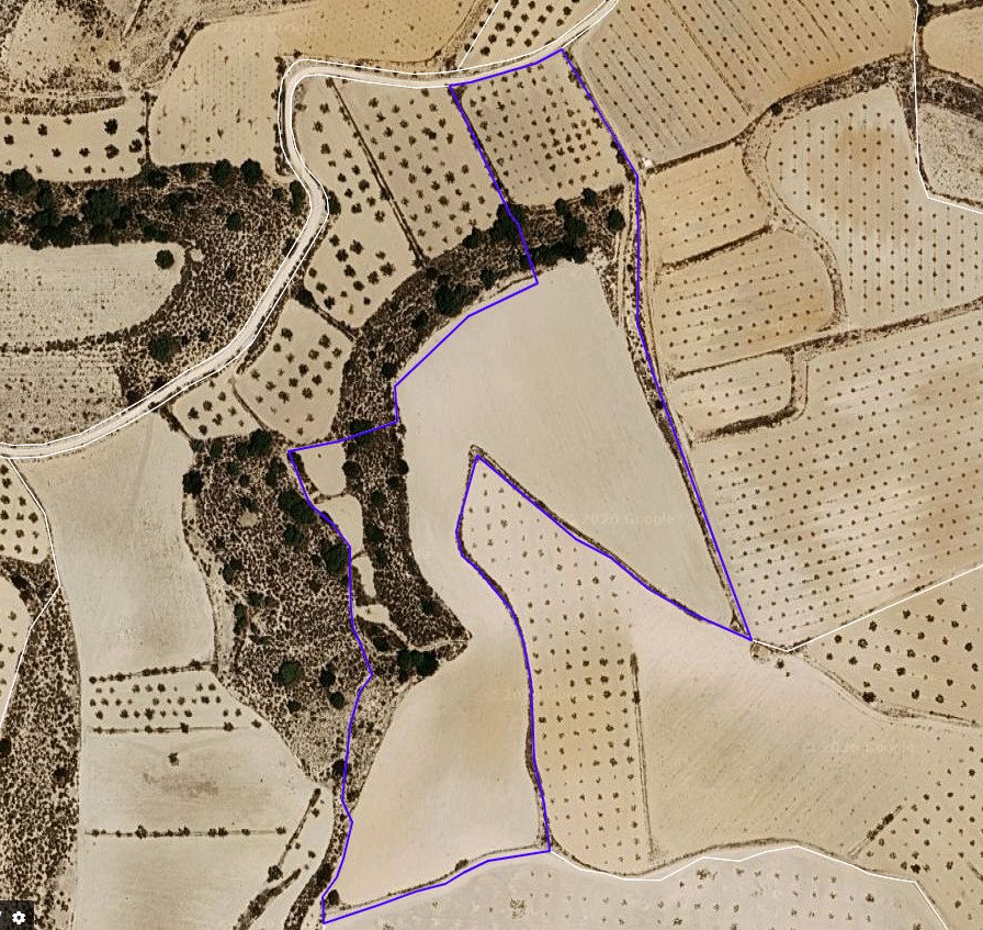 Land in Pinoso