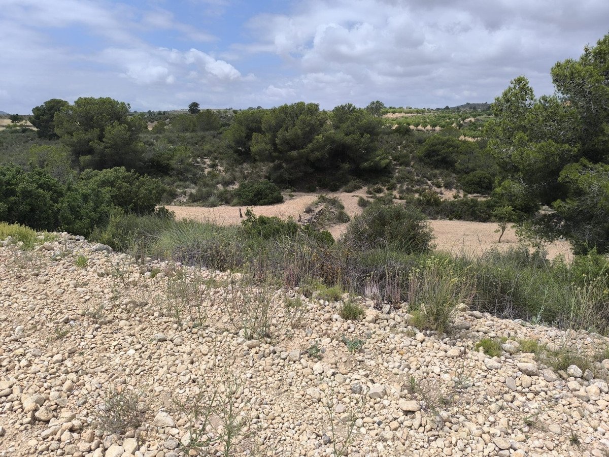 Land in Pinoso