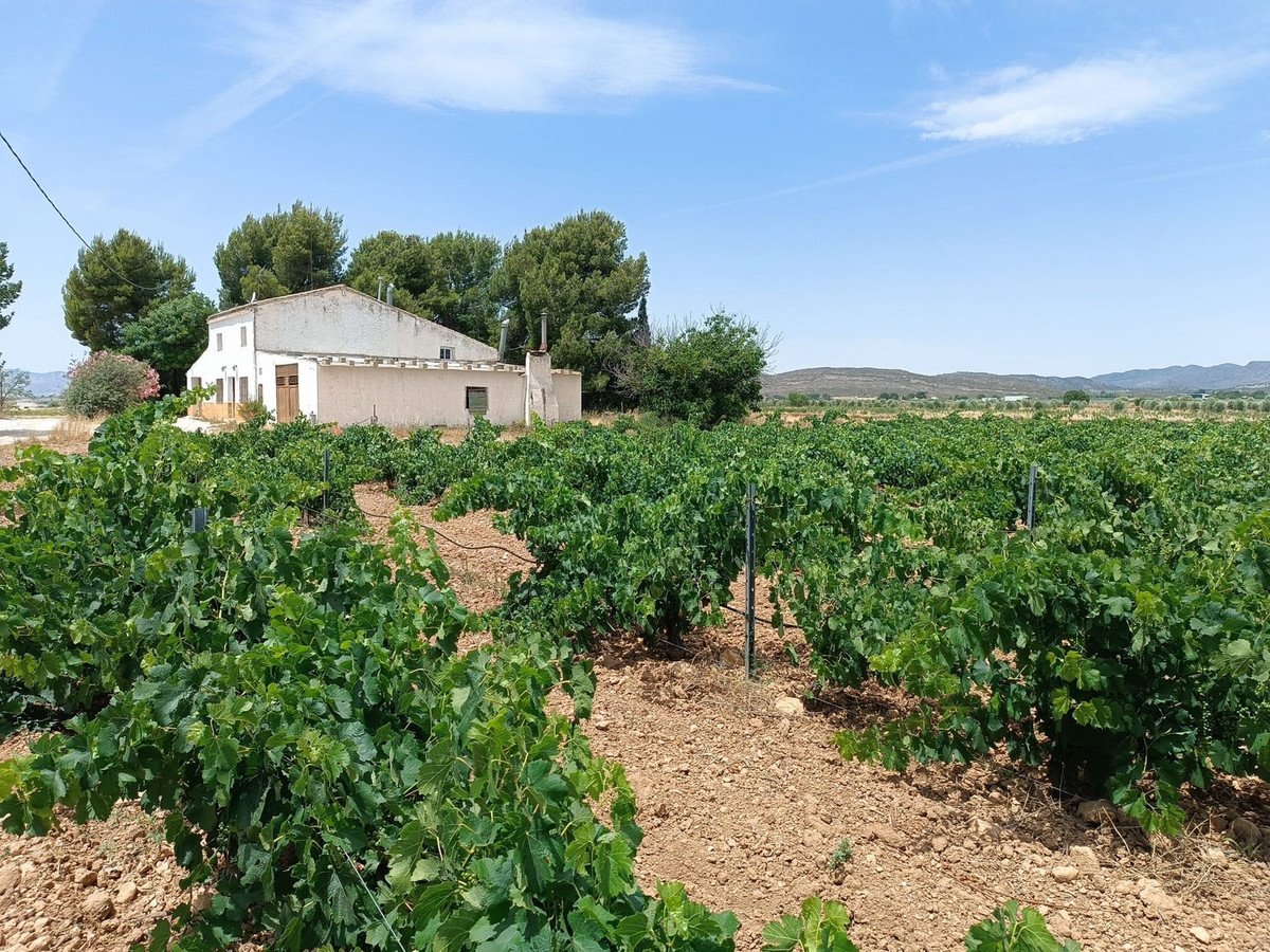 5 Bed Finca - Cortijo in Yecla