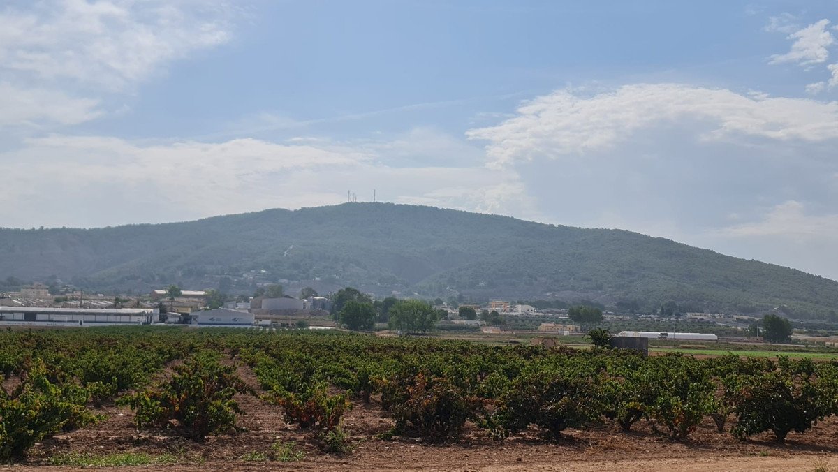 Land in Pinoso