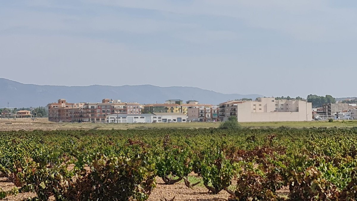Land in Pinoso