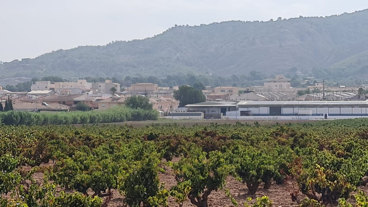 Land in Pinoso