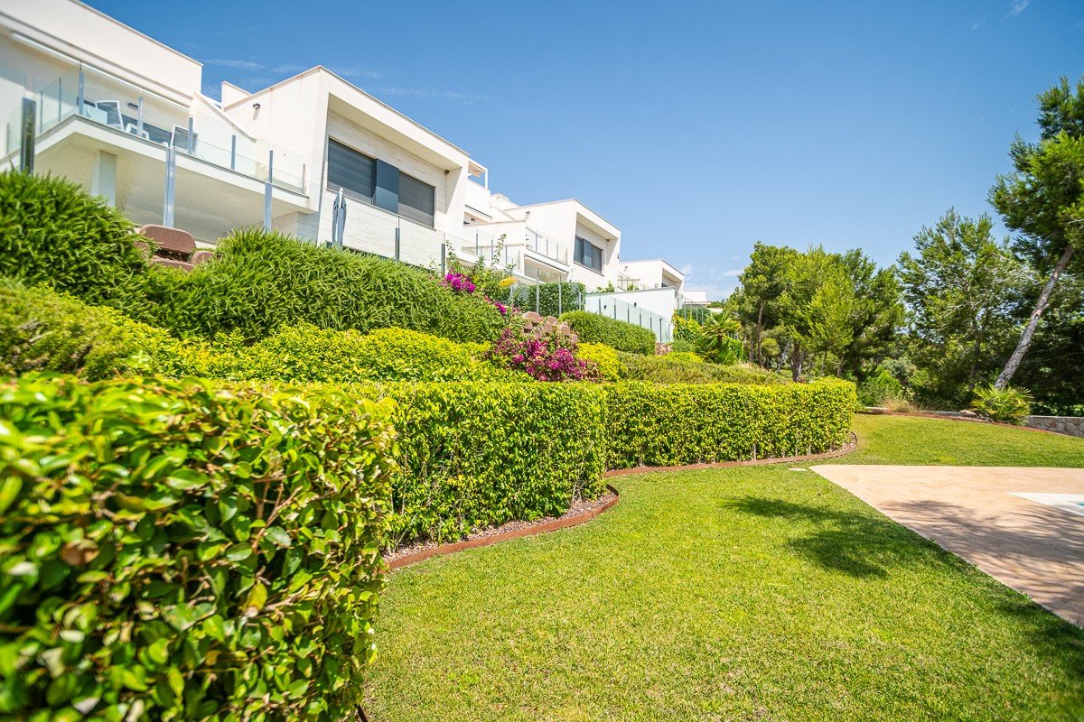 2 Bed Ground Floor Apartment in Pilar de la Horadada
